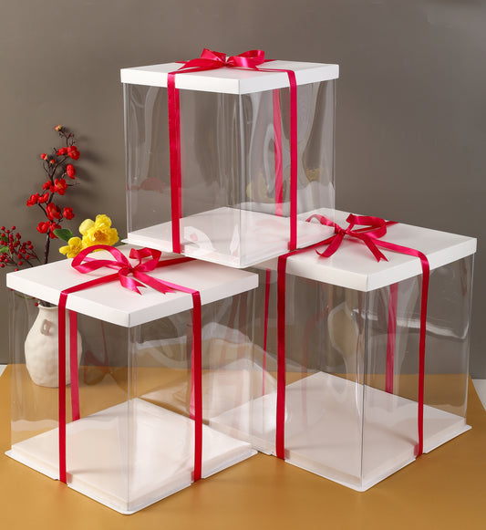 10" PET Tall Clear Cake Box (Square)